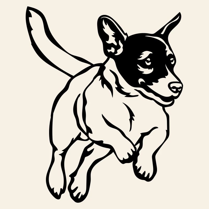 Jack Russell Terrier