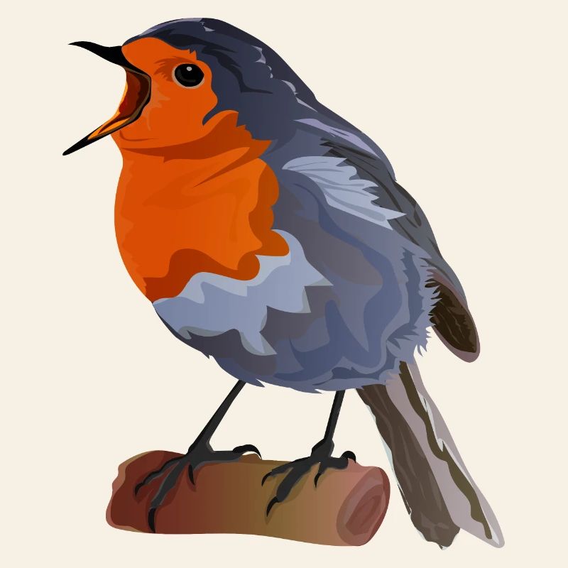 Robin Bird Illustration on Textile