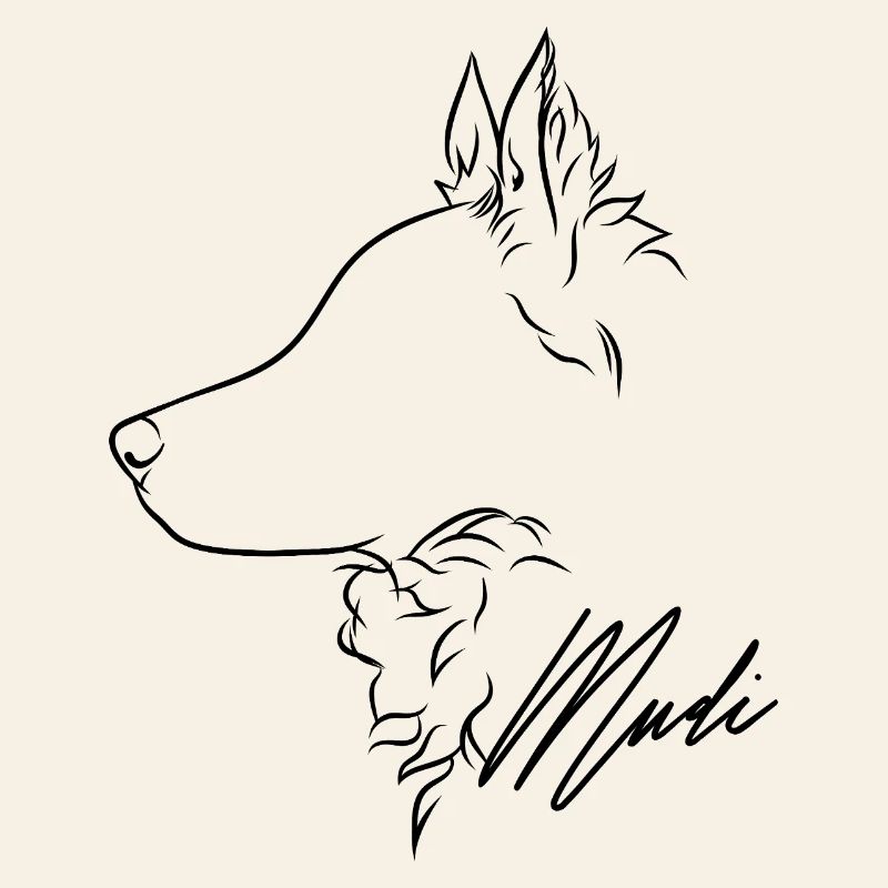 Mudi Profil Hunde Hund Wilsigns