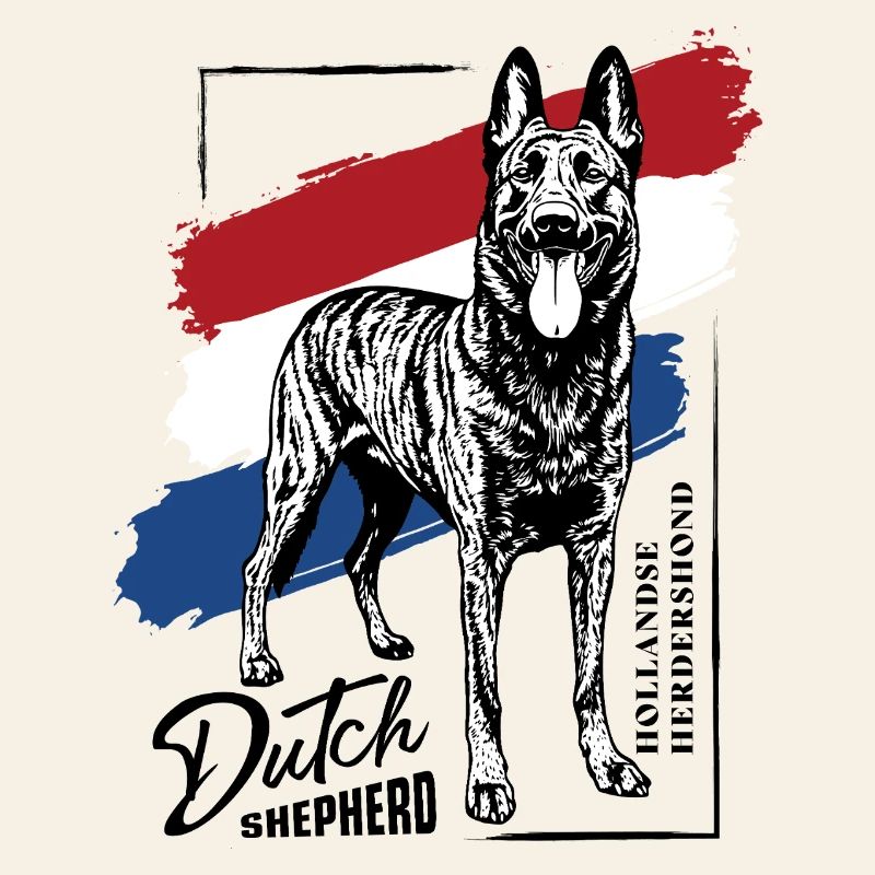 Dutch Shepherd – Dutchie