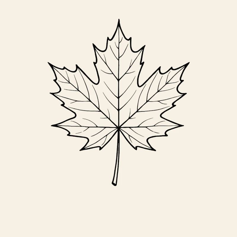 Maple Leaf Line Design