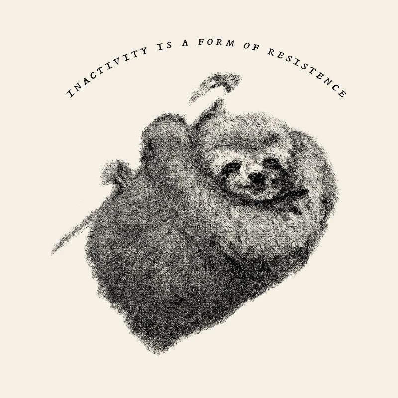 Faultier_Sloth