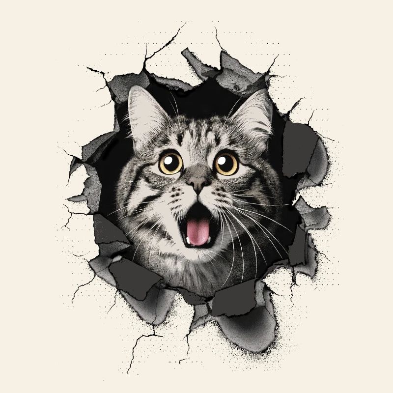 Cat Scared Wall Breakthrough Cracks