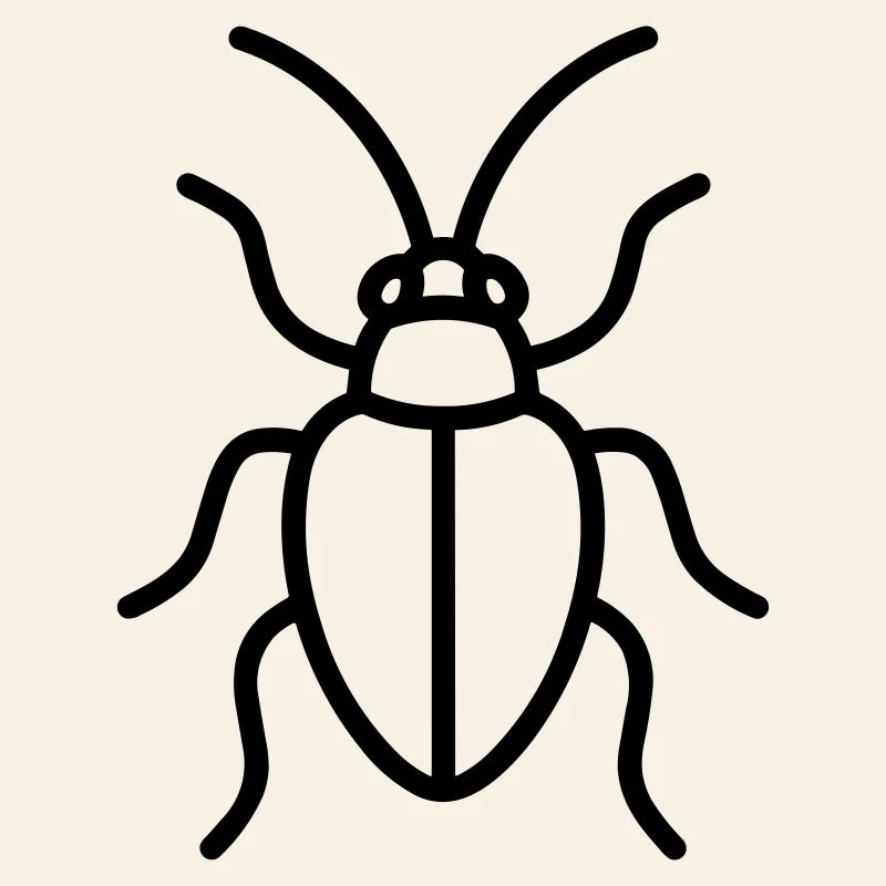 Aphid