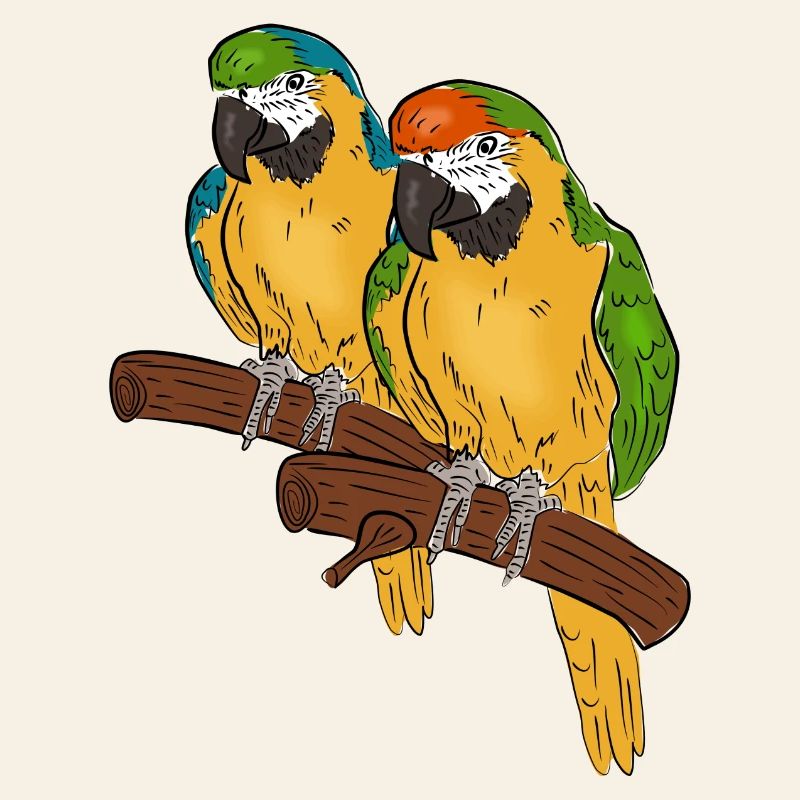 perroquets