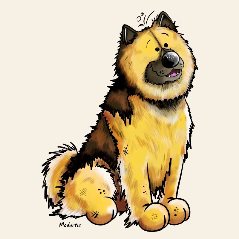 Stolzer Eurasier