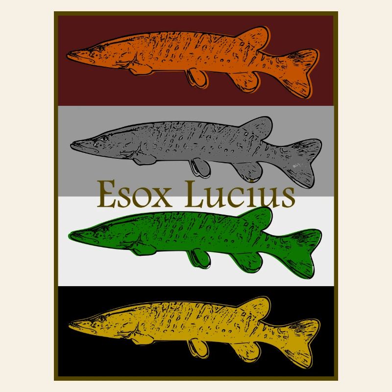 Conception de brochet coloré