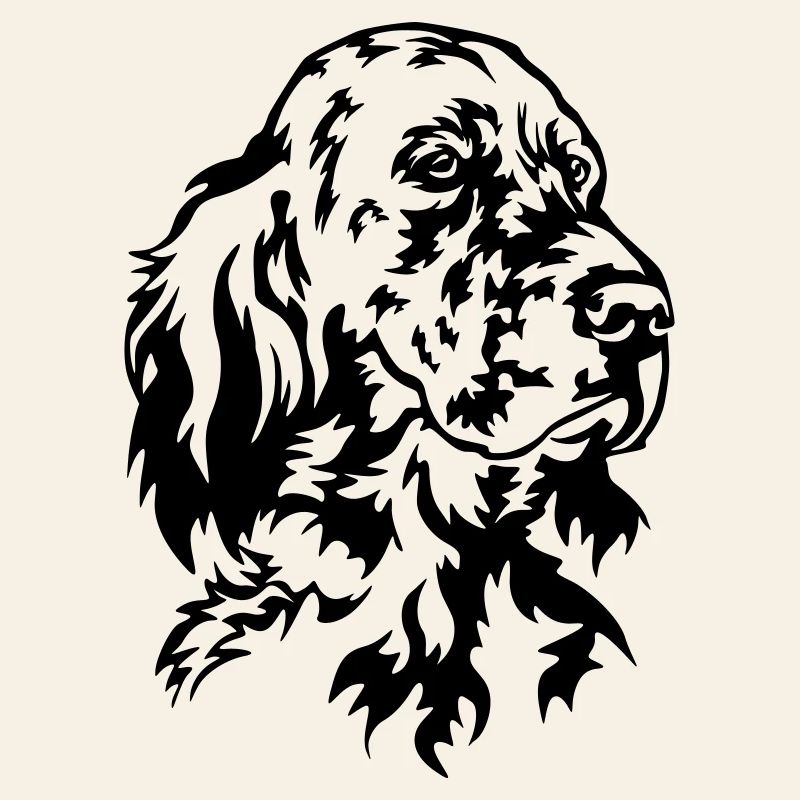 Tête de setter anglais