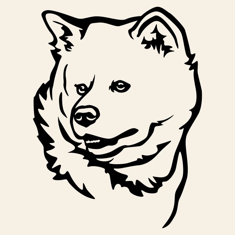 Akita Kopf