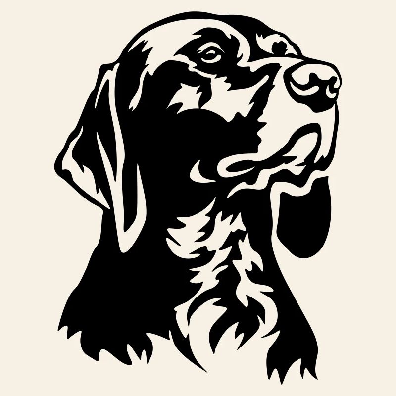 German Shorthair head