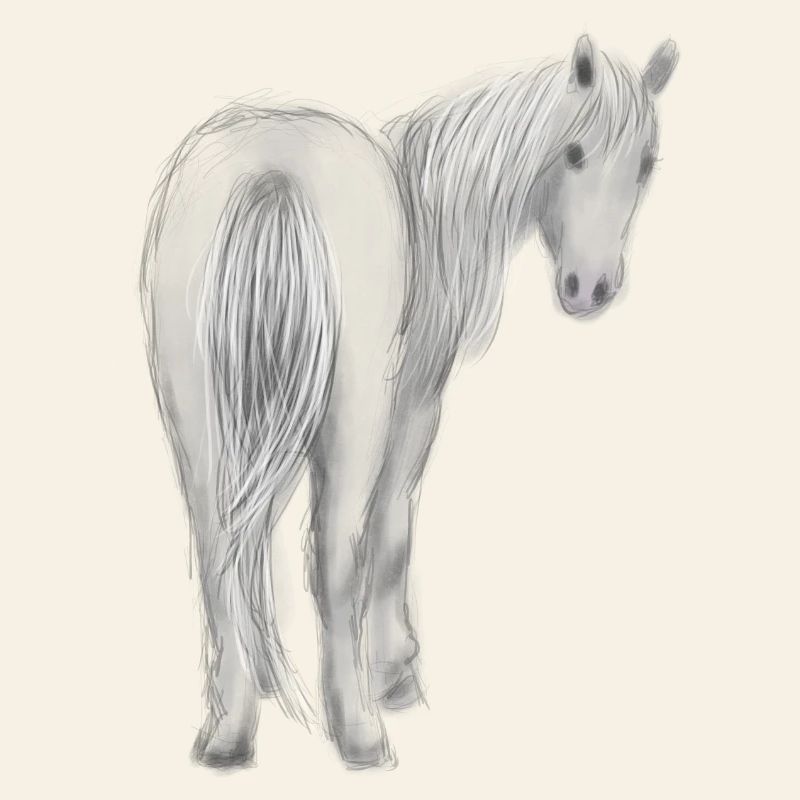 Cheval