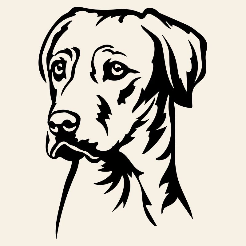 Rhodesian Ridgeback Kopf