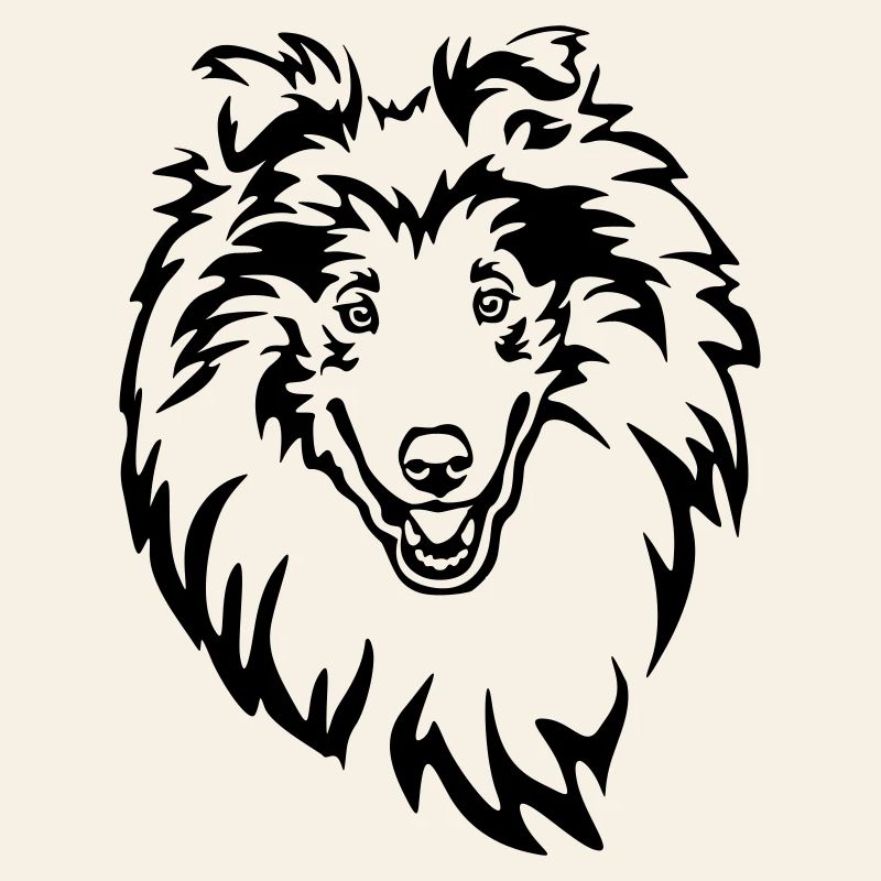 Tête de Collie