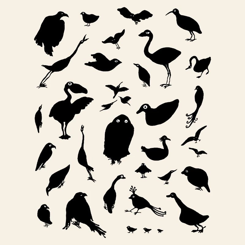 BIRDS
