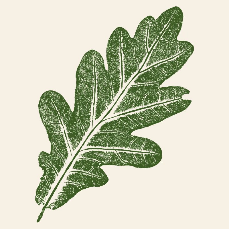 Feuille de chêne / Vert