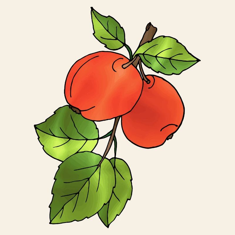 Äpfel