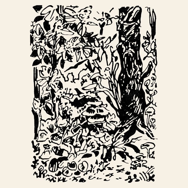 ENCHANTED FOREST