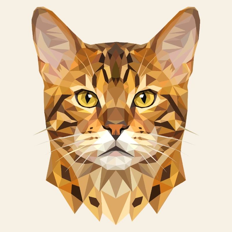 Bengal Cat Leopard Cat Leopardette Bengal Cats