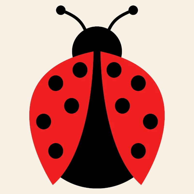 ladybug