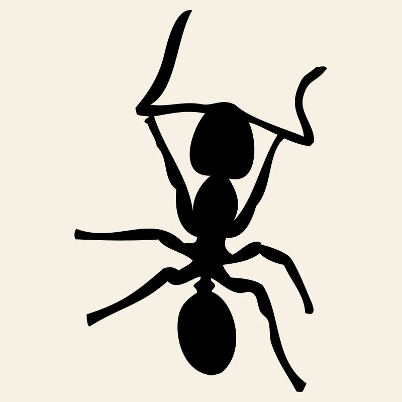 Ant - Insect - Ants