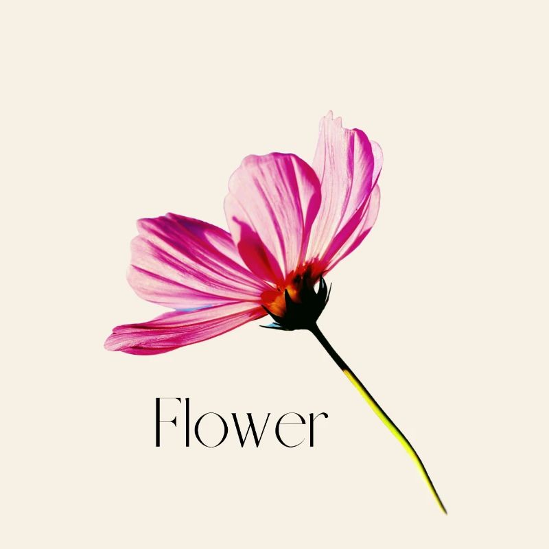 Fleur