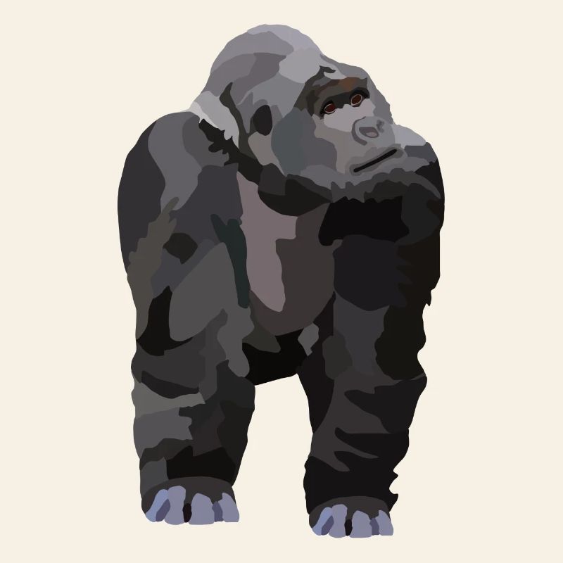 Gio, the gorilla