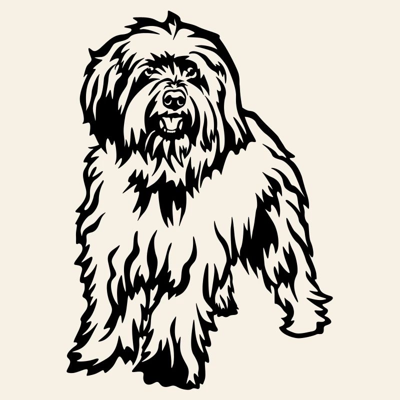 Caniche de mouton
