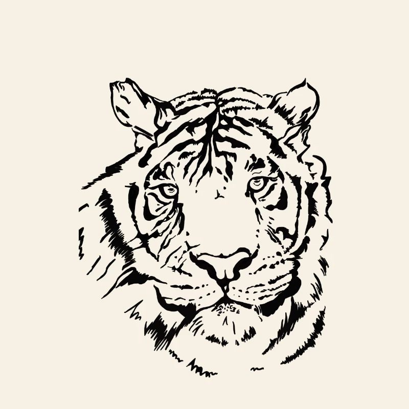 Tigre dessiné à la main