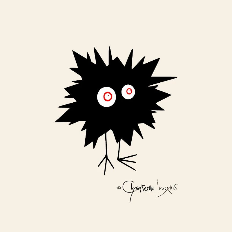 Woolly Beastie flashed © Chyropterum Innoxius