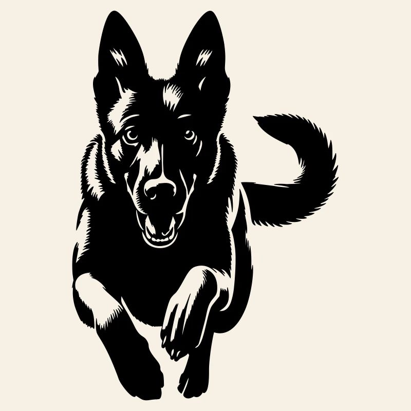 Malinois