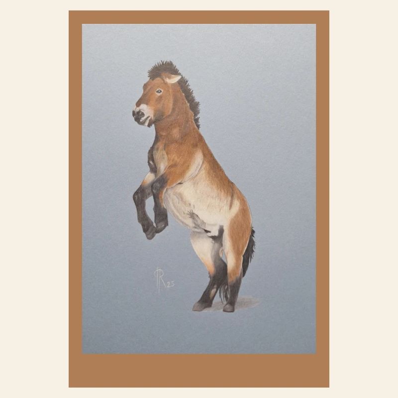 High-riding horse