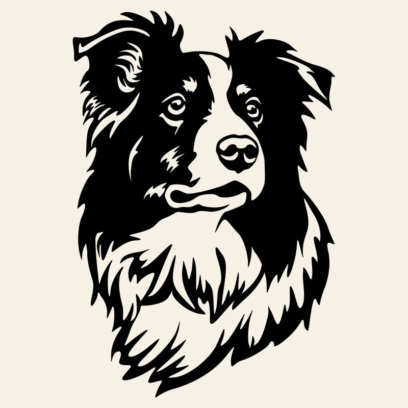 Tête de Border Collie