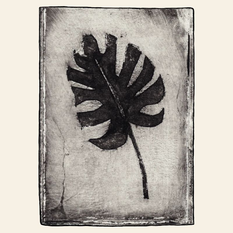 Plante de Monstera - Gravée à la main imprimable
