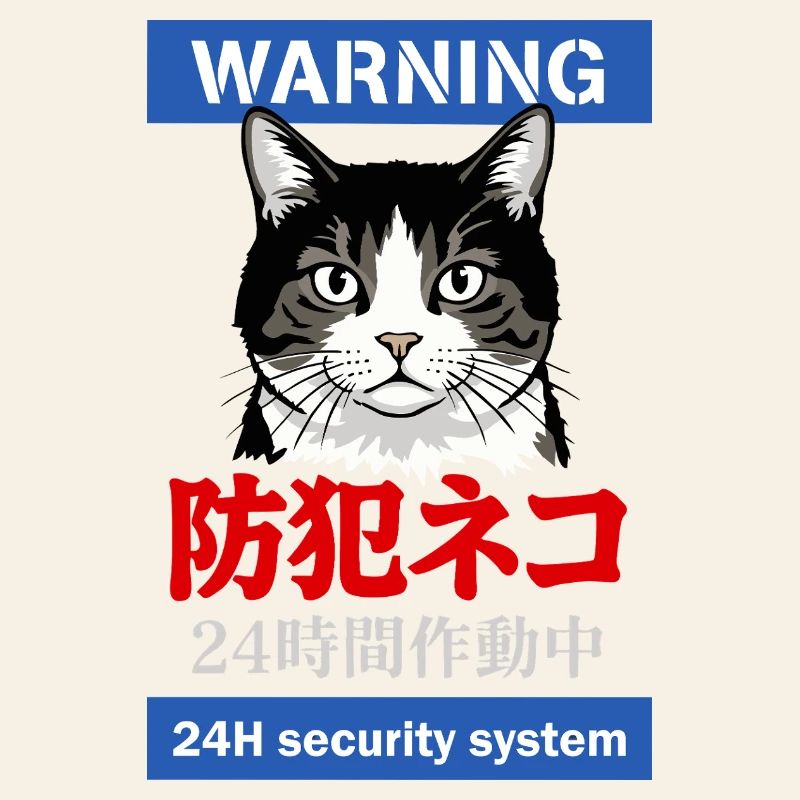 24h Security System