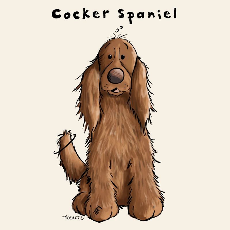 Funny Cocker Spaniel