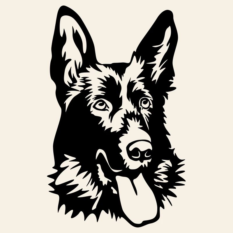 Deutscher Schäferhund Kopf