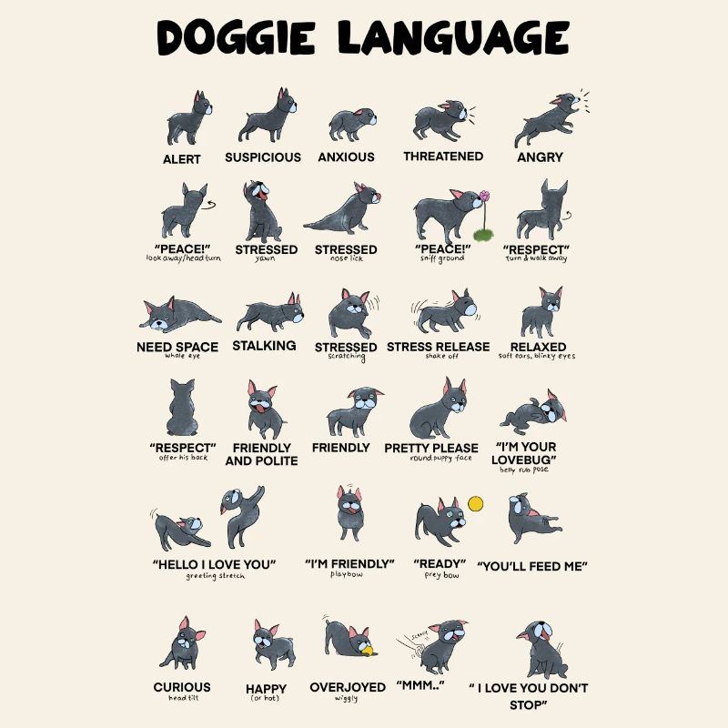 Doggie Language