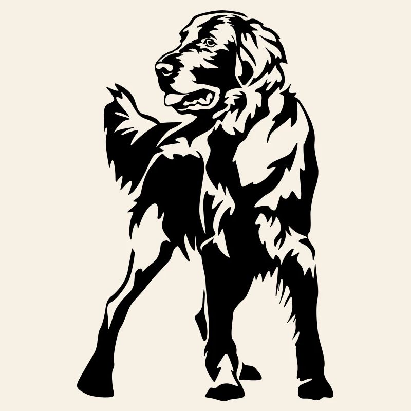 Flat-coated retriever