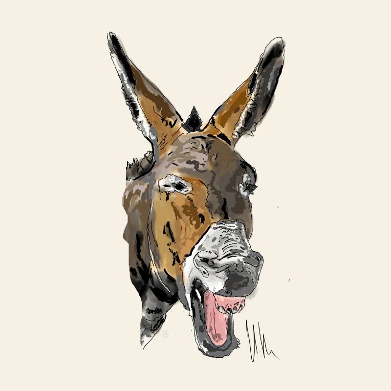 Donkey