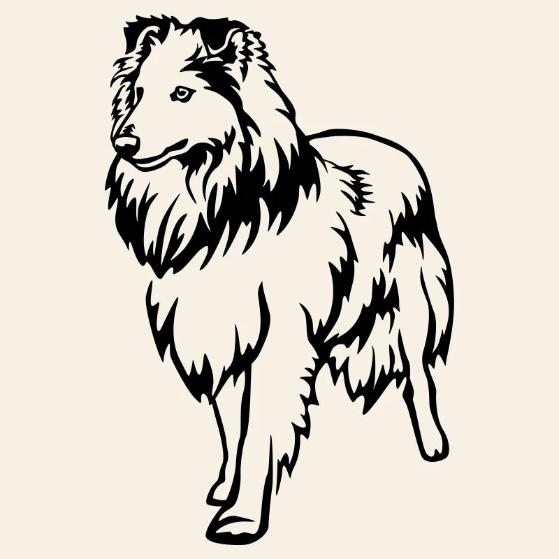 Sheltie