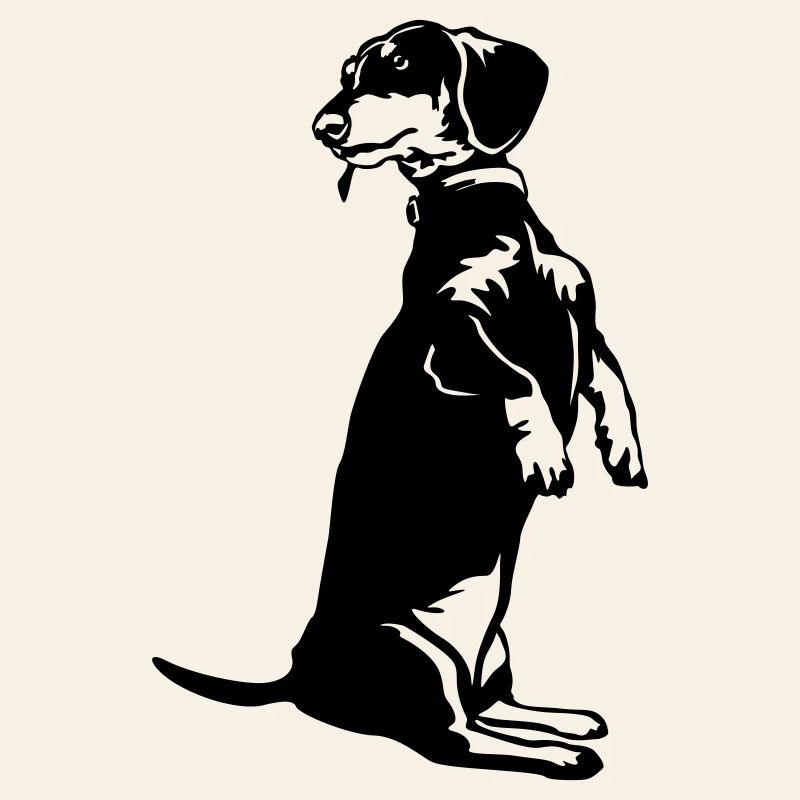 Dachshund