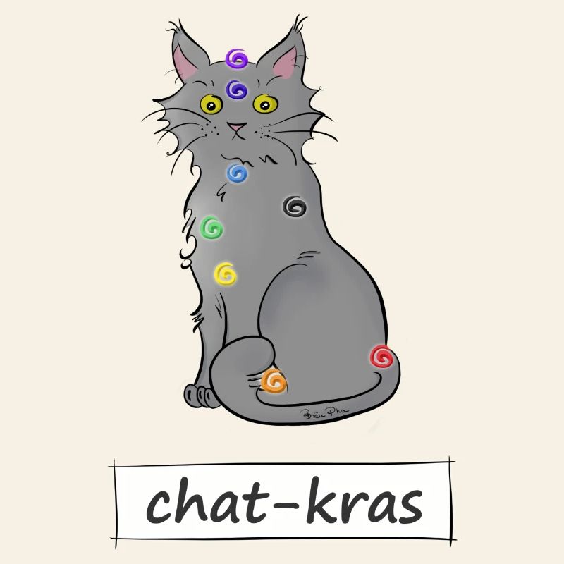 Chat-kras