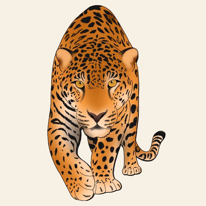 Leopard Big Cat 