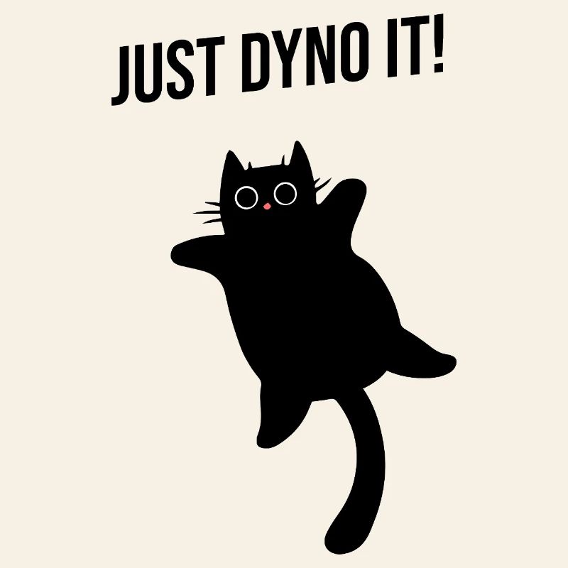 Cat climbs dynamically climbing route Dyno boulder