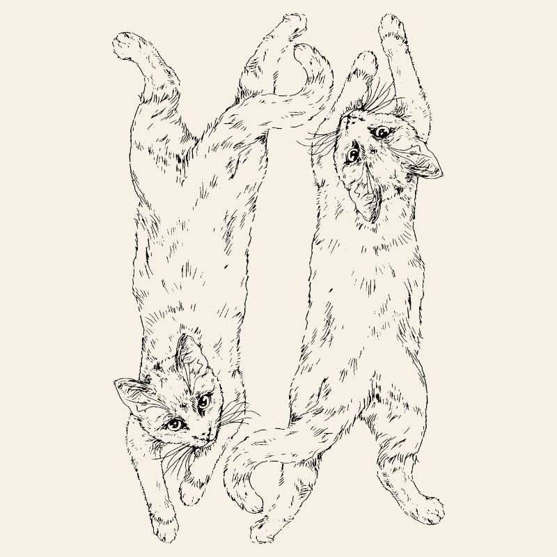 Katzen