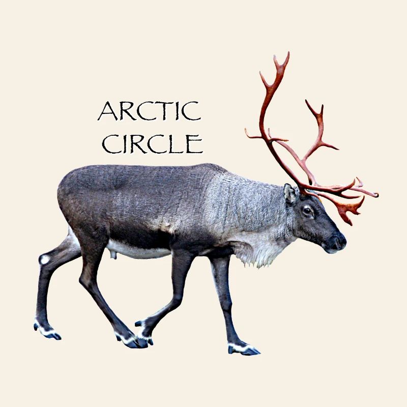 Arctic Circle