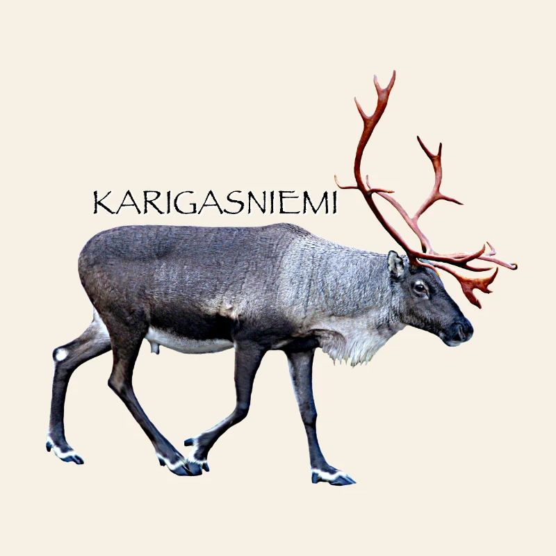 KARIGASNIEMI