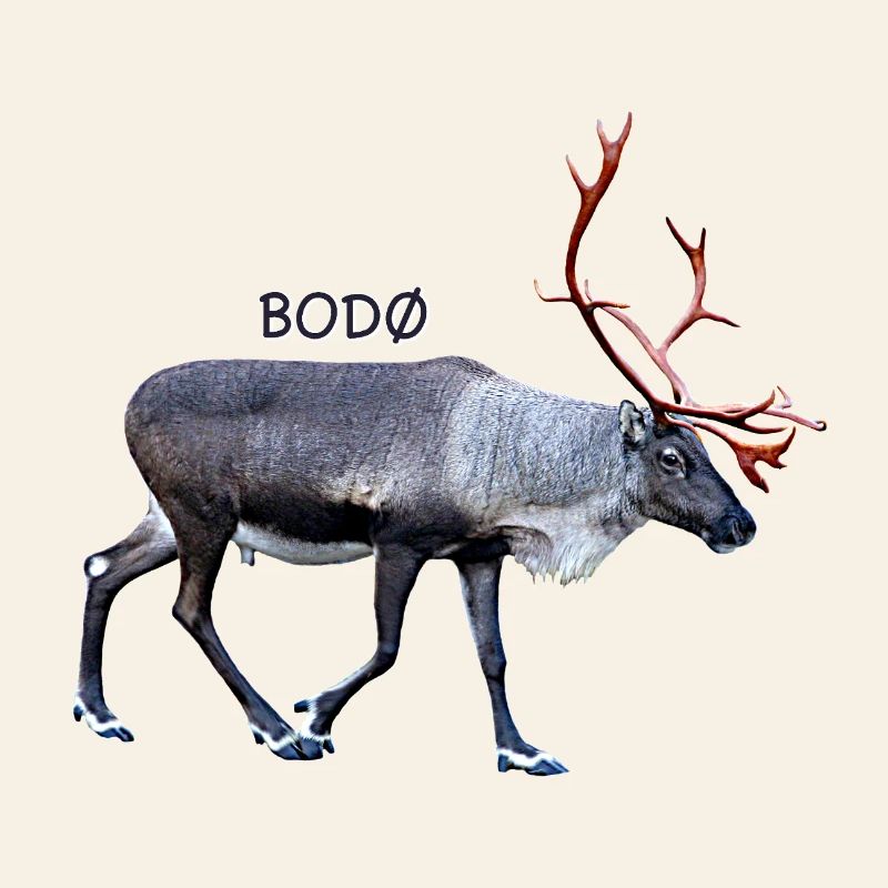 BODO