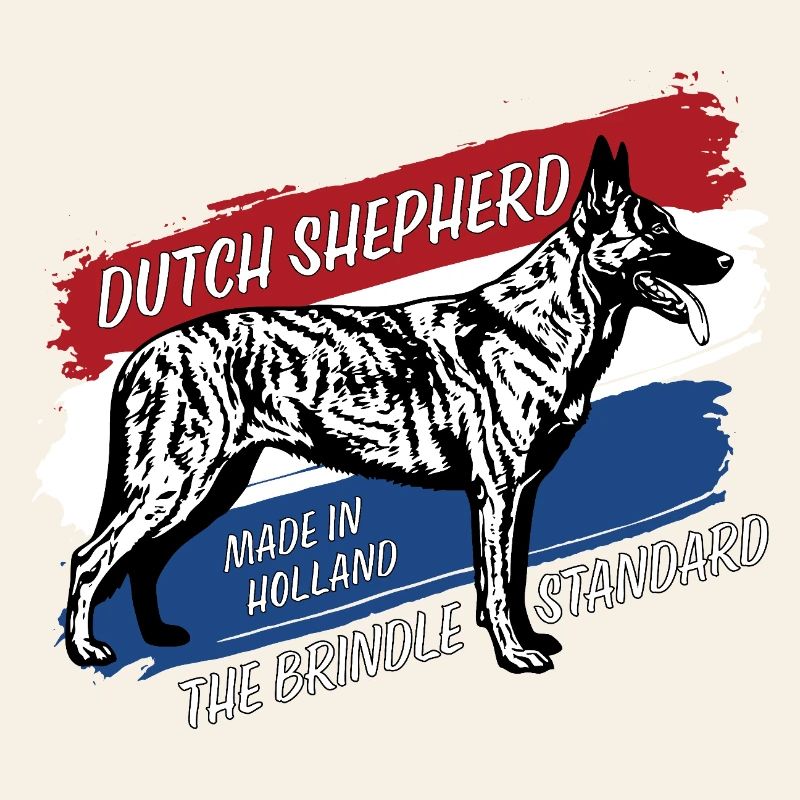 Dutch Shepherd – Dutchie