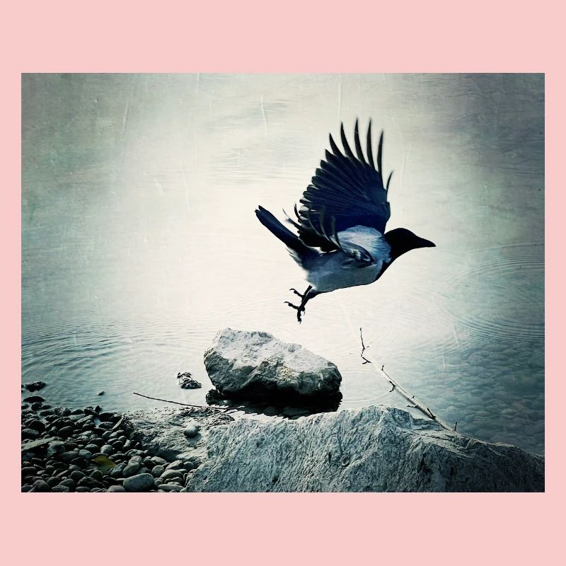 Le Vol du Corbeau